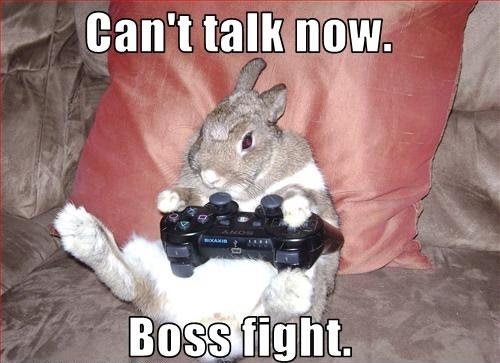 this bunny is bad at getting out of the fire. not even touching the sticks.